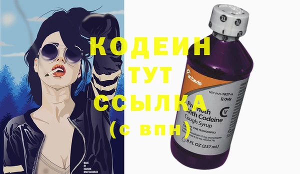 молекула духа Арсеньев