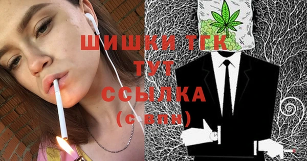 молекула духа Арсеньев