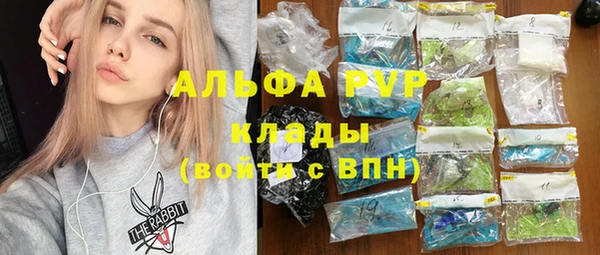 молекула духа Арсеньев