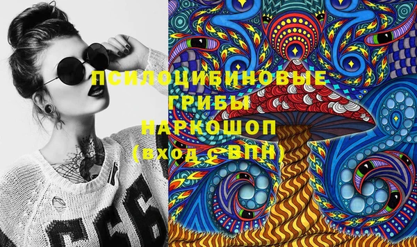 молекула духа Арсеньев